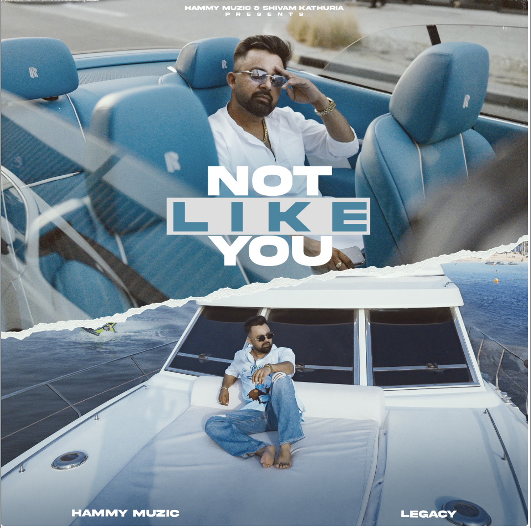 NOT LIKE YOU - Hammy Muzic